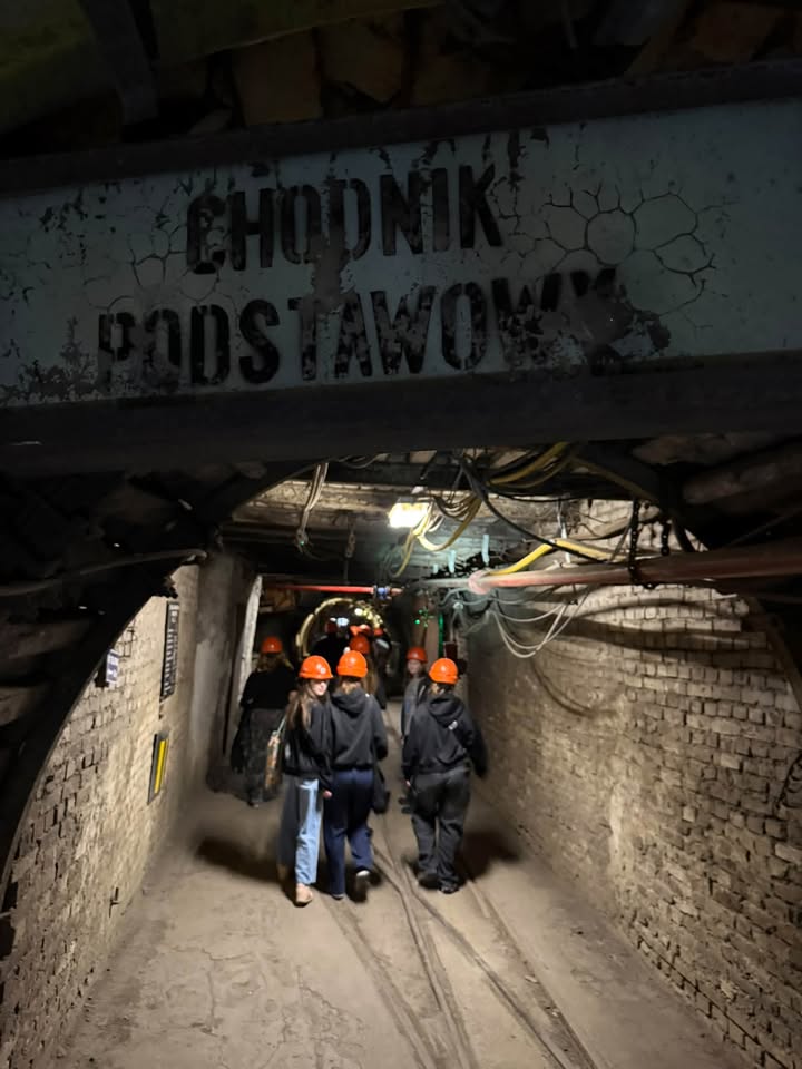 Szkoła Towarzystwa Oświatowego "Edukacja" Łódź Inżynierska