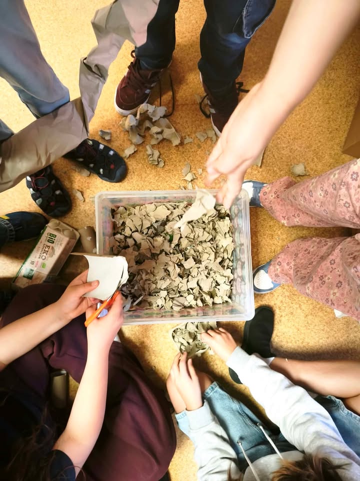 Szkoła Towarzystwa Oświatowego "Edukacja" Łódź Inżynierska
