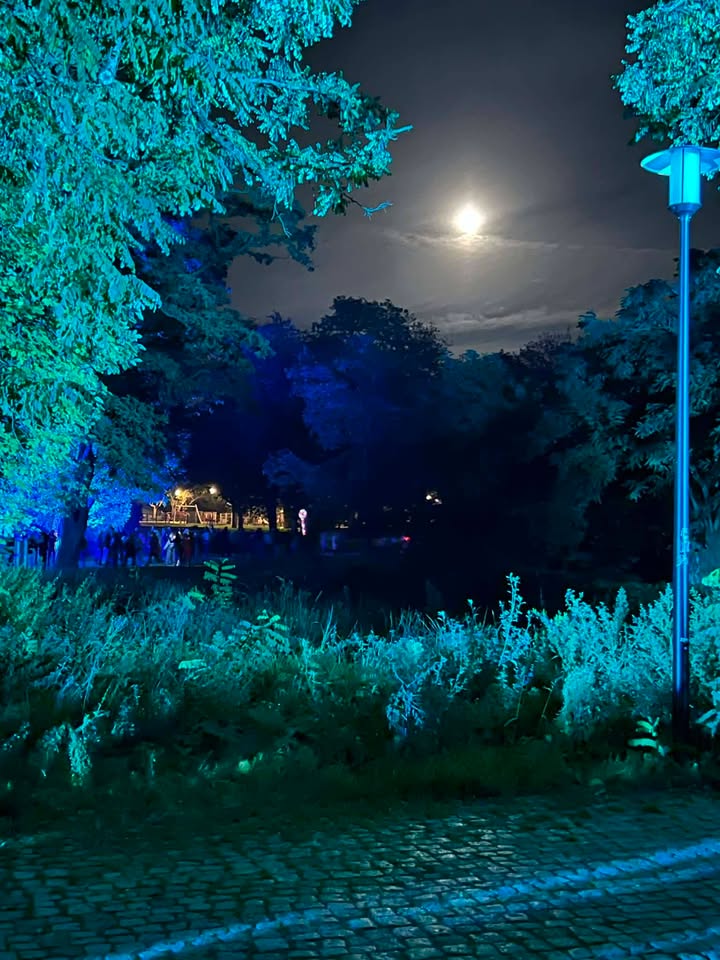 Szkoła Towarzystwa Oświatowego "Edukacja" Łódź Inżynierska